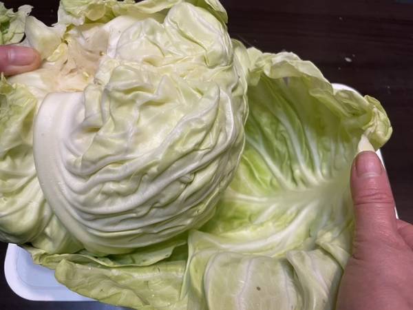 キャベツの千切りにはコツがある？　キッコーマン推奨の切り方を実践してみた