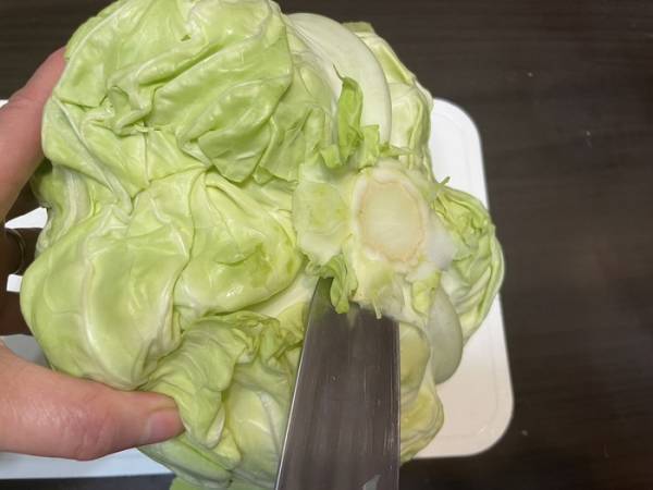キャベツの千切りにはコツがある？　キッコーマン推奨の切り方を実践してみた