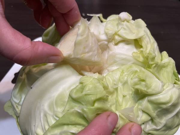 キャベツの千切りにはコツがある？　キッコーマン推奨の切り方を実践してみた