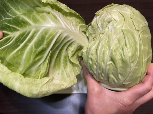 キャベツの千切りにはコツがある？　キッコーマン推奨の切り方を実践してみた