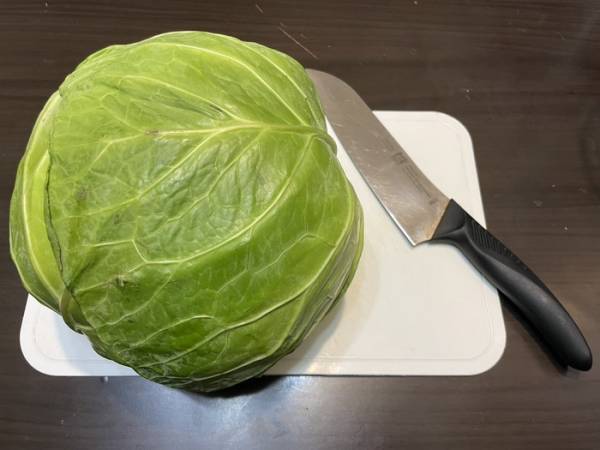 キャベツの千切りにはコツがある？　キッコーマン推奨の切り方を実践してみた