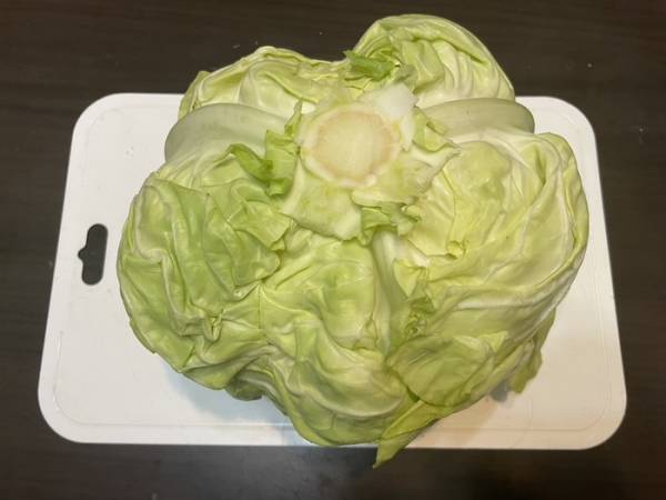 キャベツの千切りにはコツがある？　キッコーマン推奨の切り方を実践してみた