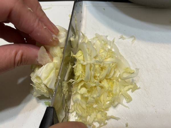 キャベツの千切りにはコツがある？　キッコーマン推奨の切り方を実践してみた