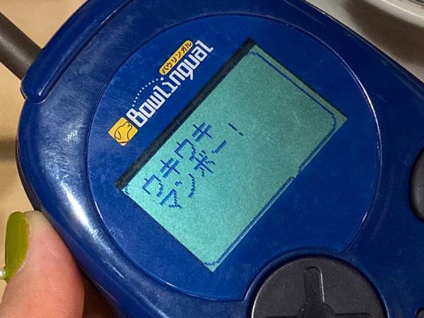 食事時になると吠える愛犬　『バウリンガル』の翻訳結果に「笑いを堪えきれん」