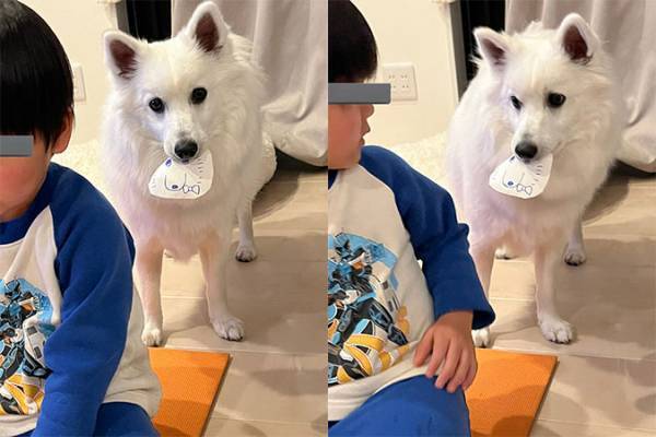 犬「似顔絵を描いてもらったワンね〜」　ルンルンでいたら、まさかのオチが！