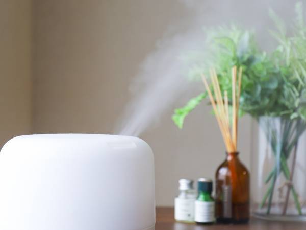 場所を変えれば効果も変わる？　加湿器は置き場所次第で乾燥対策が強力に　ハイアール直伝の活用法とは