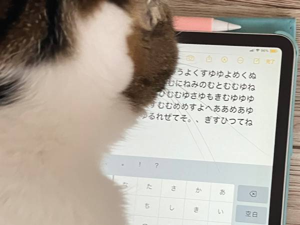 『仕事中』の猫を飼い主が目撃！　写真に「真剣味が伝わる」「部下になりたい」