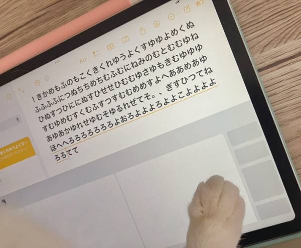 『仕事中』の猫を飼い主が目撃！　写真に「真剣味が伝わる」「部下になりたい」