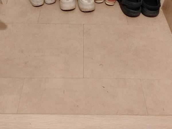 「天才の発想！」　２歳児が玄関でそろえる靴に反響