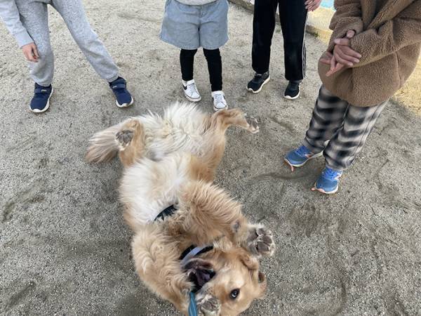 小学生「犬触っていいですか？」　とった行動に「最高で泣いた」「そっちかい！」