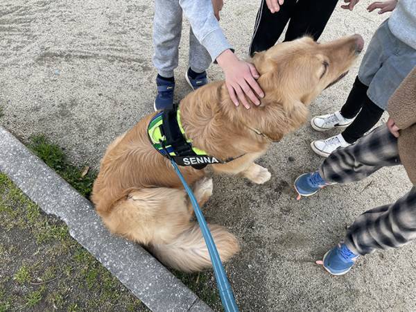 小学生「犬触っていいですか？」　とった行動に「最高で泣いた」「そっちかい！」