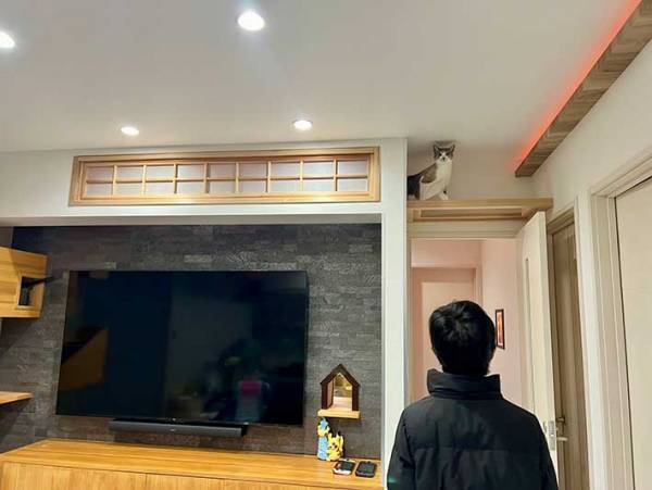 キャットタワーで遊ぶ猫、興奮して首が？　「吹いた」「別の生き物か」