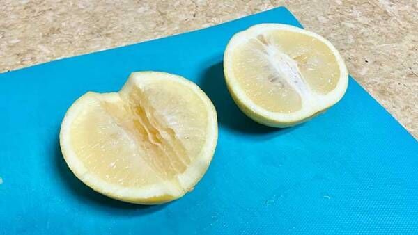 グレープフルーツの切り方