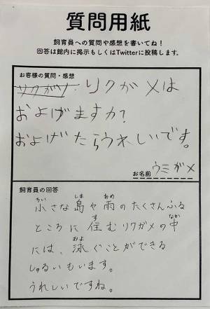 飼育員からの回答、最後の『ひと言』が…？　「可愛いの渋滞」「優しい世界」