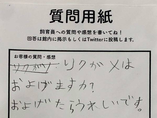 飼育員からの回答、最後の『ひと言』が…？　「可愛いの渋滞」「優しい世界」