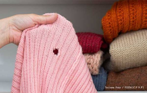 防虫剤は服の上、下どっちに置く？　正解に「ずっと逆にしてた」