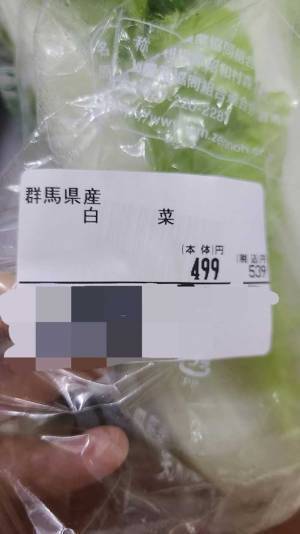 夫が買ってきた白菜にツッコミの嵐！　「違う、そうじゃない」「こんなん罠だろ」