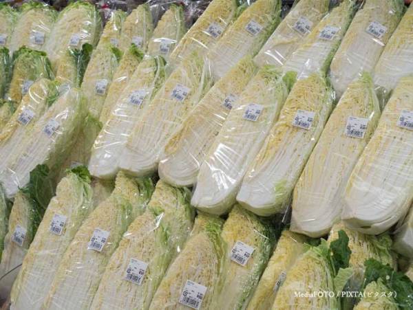 夫が買ってきた白菜にツッコミの嵐！　「違う、そうじゃない」「こんなん罠だろ」