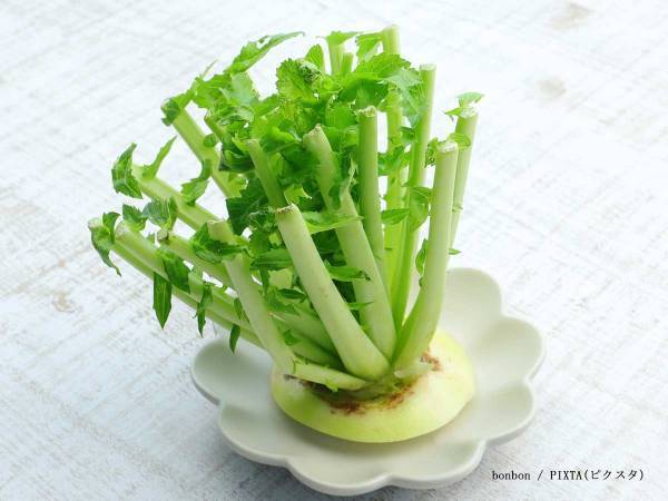 捨てがちな大根の葉　農園に聞いた『おいしい食べ方』とは？