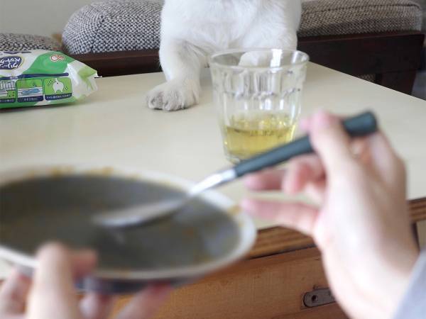 飼い主「諦めていない」　『待て』の指示を出したっけ…？