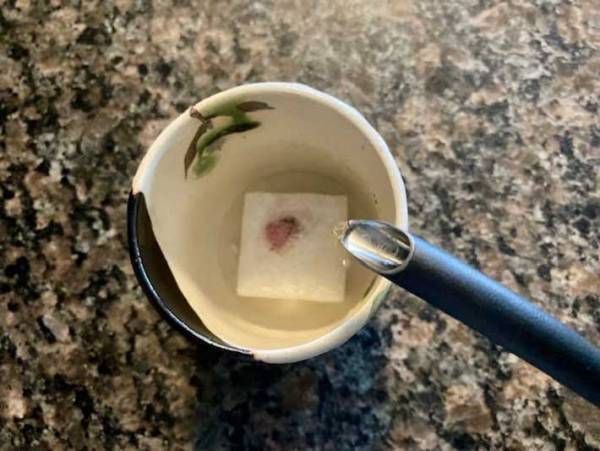 湯呑に花開く！　カルディの『宇治園 桜茶』でひと足早いお花見はいかが？