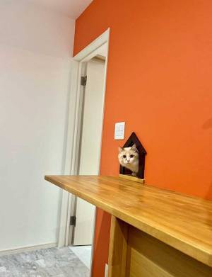 「うちの玄関、最高すぎる…」　６万いいね集めた写真がこちら！