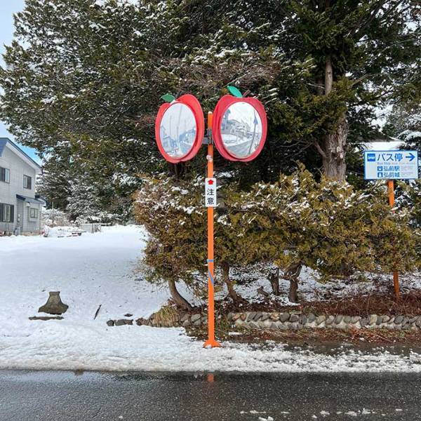 「控えめに言って最高」　ある県で見たカーブミラーに「初めて見た」「こういうの好き」