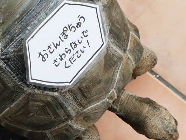 カメに「触らないで」の貼り紙　オチに「その手があったか」「よすぎ」