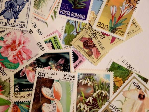 間違えて貼った切手はどうはがす？　印刷会社公式サイトが教える裏技に「気持ちいい」「便利だ」