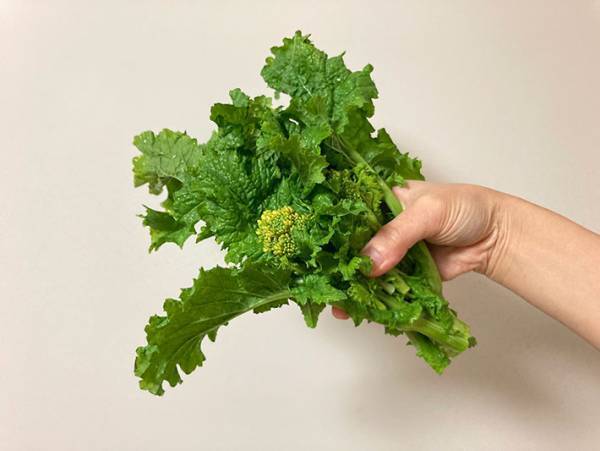 菜の花は、こう食べる！　JA全農のレシピに「ペロッと完食」「最強！」