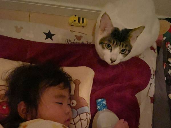 １歳息子「一緒に寝る」　寝室に持ち込んだものに「どうしてこうなった」