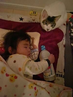 油のボトルを抱えて眠る子供の写真