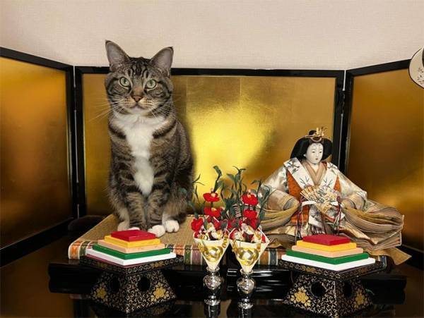 自宅に飾った『ひな人形』　女雛の隣に座っていたのは…「笑った」「可愛い」