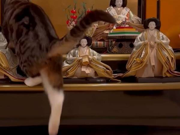 自宅に飾った『ひな人形』　女雛の隣に座っていたのは…「笑った」「可愛い」