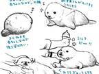 『しながわ水族館』で生まれたアザラシの赤ちゃん　イラストに「目の付け所が最高！」