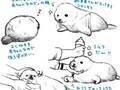 『しながわ水族館』で生まれたアザラシの赤ちゃん　イラストに「目の付け所が最高！」