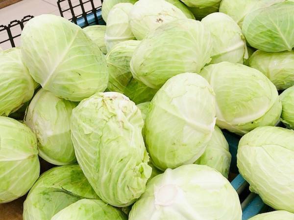 せっかくならおいしいキャベツを選びたい！　新鮮なキャベツの見分け方とは？