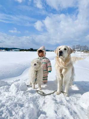 ４歳、３歳、１歳の三兄弟　雪の中での１枚に「笑った」「同じ顔してる」