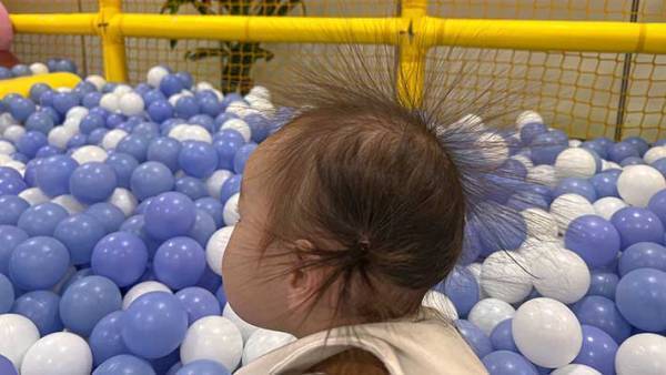 ボールプールの海で『ウニ』を発見…　写真に「笑った」「かわいすぎる」