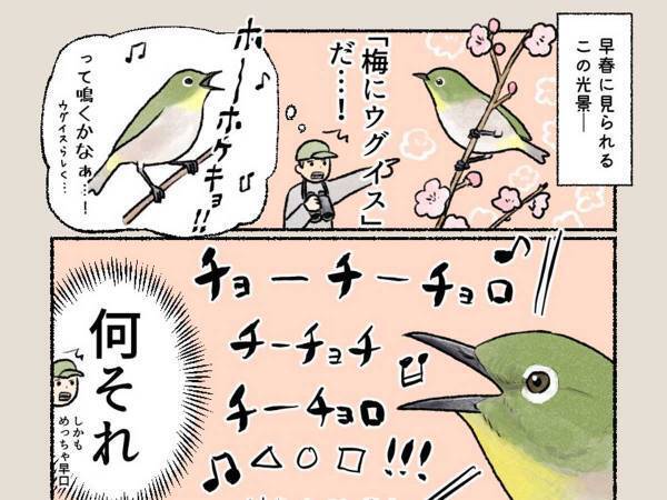 春に見かける『緑色の鳥』　ウグイスかと思いきや？　「マジか」「ずっと間違えていた」