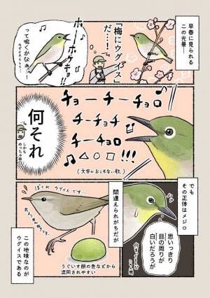 @iirotoriiさん野鳥の漫画画像