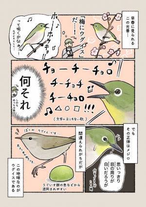 春に見かける『緑色の鳥』　ウグイスかと思いきや？　「マジか」「ずっと間違えていた」