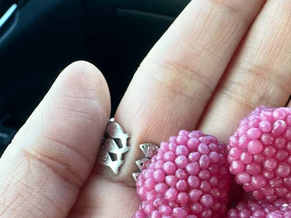 ネットをざわつかせた１枚の写真　写ったものに「ウソだろ！？」「目を疑った」