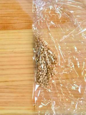 『すりごま』がいとも簡単に！　すり鉢もすり棒も不要の方法に「有益」「確かにいい」