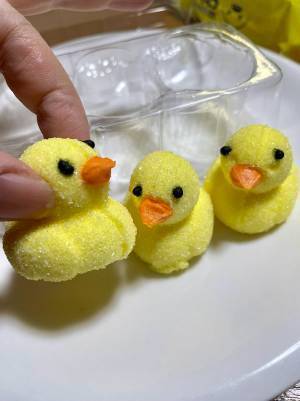 ダイソーに売っていた『小さいヒヨコ』　正体に「待って、帰りに行かなあかん」