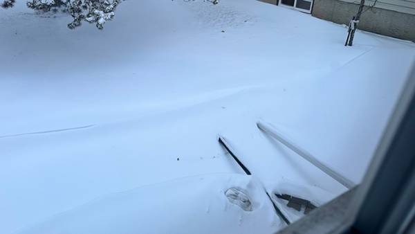 「初めて見た！」「雪かきは先送り」　カナダで出会ったウサギに『２７万いいね』