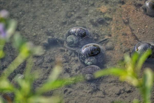 農林水産省「絶対やめて！」　注意喚起に「絶句した」「広まってほしい」