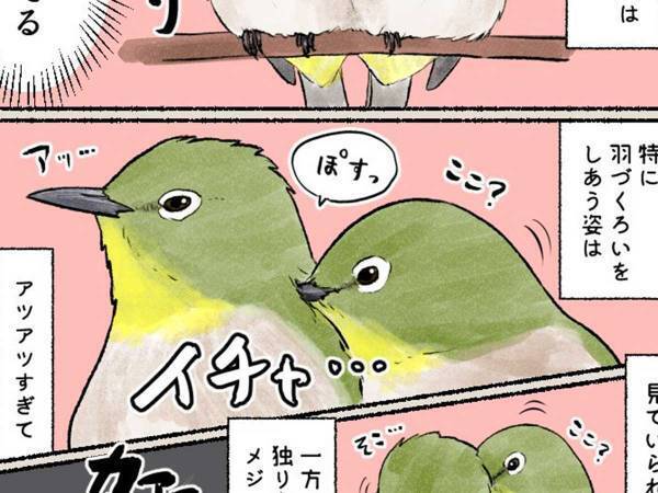 メジロの『イチャイチャっぷり』に「見ていられない」　一方、独り身は…