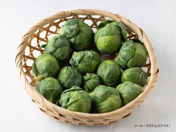 「ウソー！」「思ってたんと違う」　予想外すぎる芽キャベツの生え方とは？