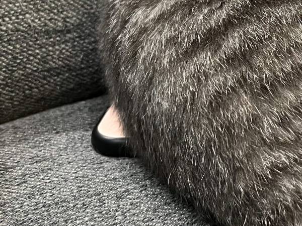 ソファで昼寝をする愛猫、よく見ると…？　隠れていた『あるもの』に驚き！